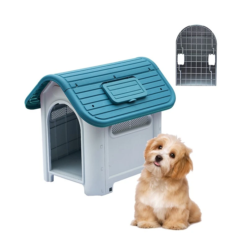 product-800-800