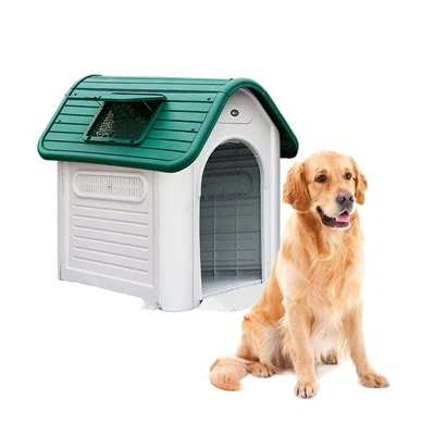 Dog House